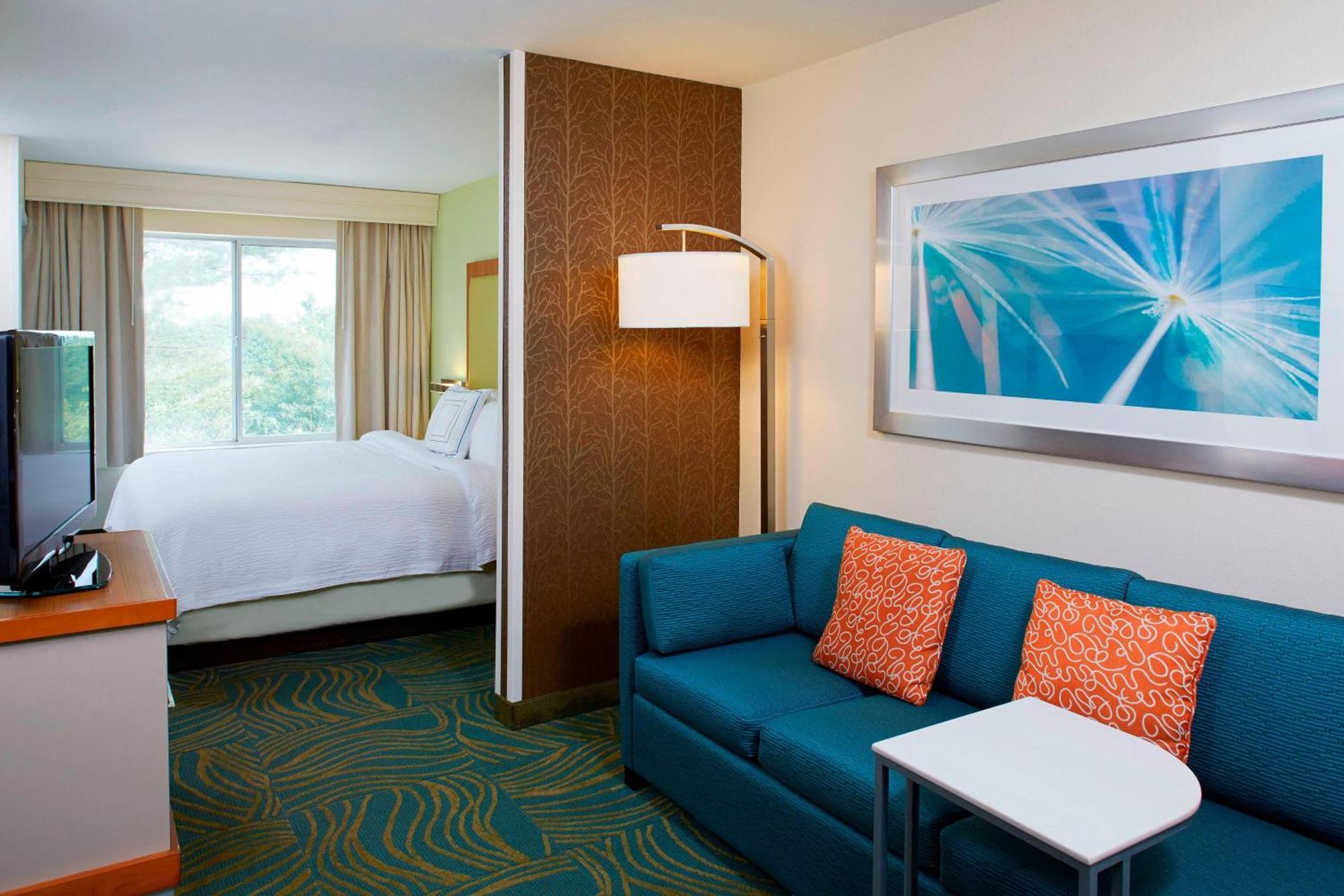 สปริงฮิลล์ สวีท แอตแลนตา ซิกส์ แฟลกส์ Hotel ลิเธีย สปริงส์ ภายนอก รูปภาพ