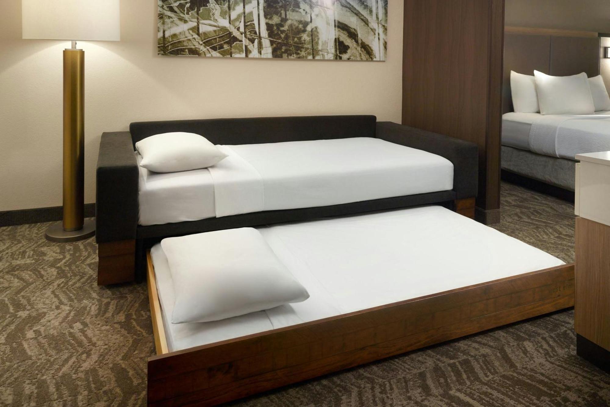 สปริงฮิลล์ สวีท แอตแลนตา ซิกส์ แฟลกส์ Hotel ลิเธีย สปริงส์ ภายนอก รูปภาพ